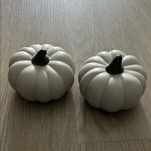 Target Gray and Brown Ceramic Pumpkins Set of 2
